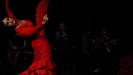 Foto: Eduardo Sardinha