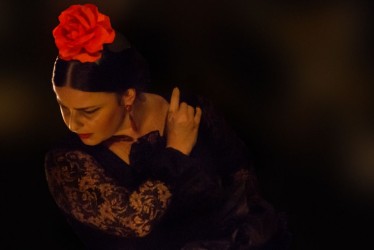 Foto: Eduardo Sardinha