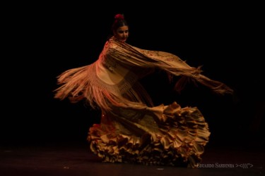 Foto: Eduardo Sardinha